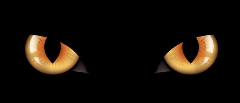 black-cat-eyes